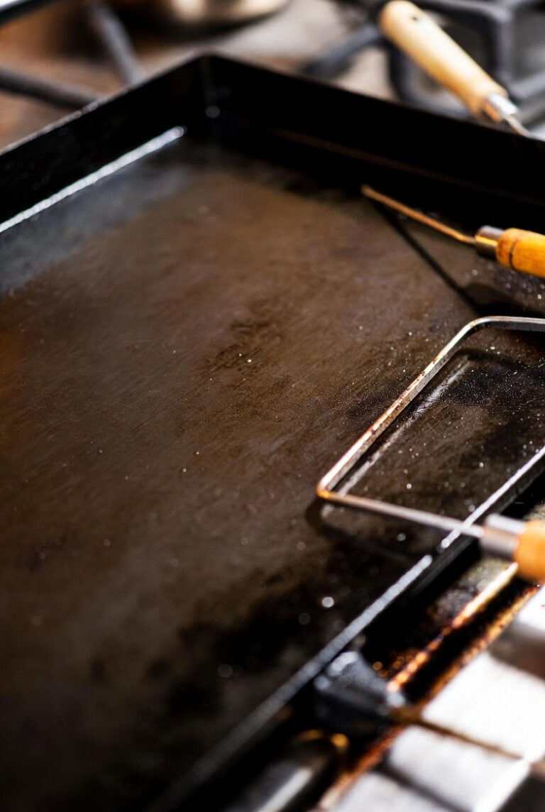 Blackstone Griddle Seasoning Tips That Actually Work